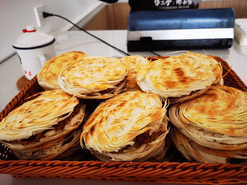 老潼關(guān)肉夾饃和涼皮的培訓(xùn)方法和地方,陜西華三少肉夾饃為您分享技術(shù)